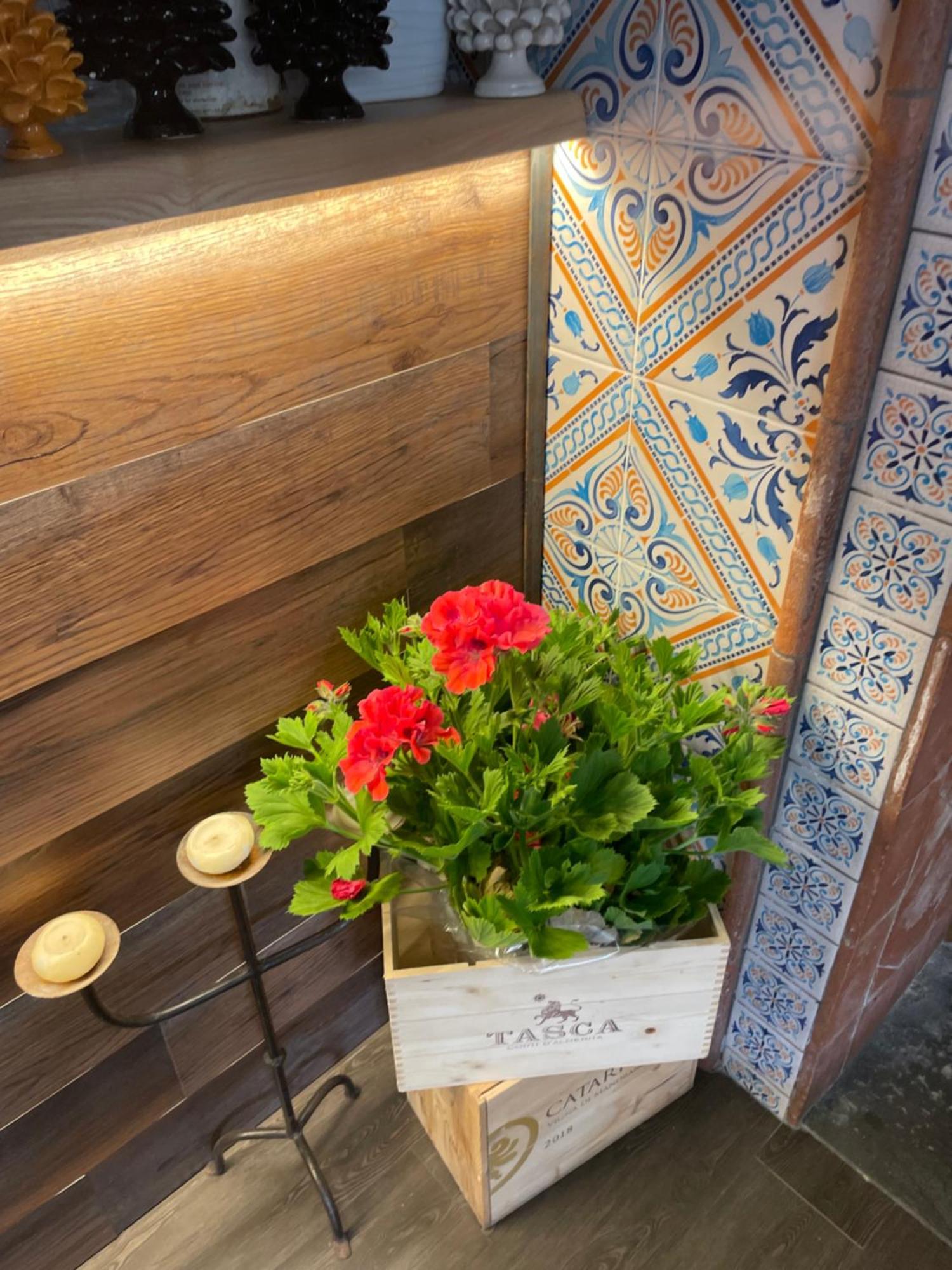 Ai Dammusi Rooms ซานวิโต โลคาโป ภายนอก รูปภาพ